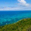 Coco De Mer & Black Parrot Suites - Image 7