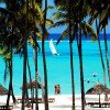 Dreams of Zanzibar - Image 6