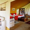Elephant Pepper Mara Camp tented guest suite