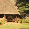 Lewa Wilderness - Image 4