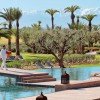 Royal Palm - Image 6