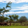 Tawi Lodge Amboseli6