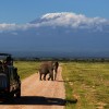 Amboseli-Safaris-in-Kenya-with-Continental Travel Group