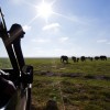 Amboseli-Safaris-in-Kenya-with-Continental Travel Group2