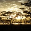Lake-Nakuru safari