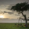 Mara-views-horizon-Maasai-Mara
