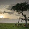 Mara-views-horizon-Maasai-Mara