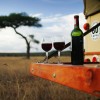 Naibor Wilderness-wines