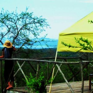 Gorilla Tracking and Nyungwe Forest