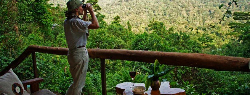 sanctuary-gorilla-forest-camp-view