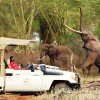 Finch Hattons Tented Camp - Image 5