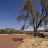 Samburu Game Lodge - Image 5