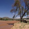 Samburu Game Lodge5