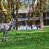 Samburu Simba Lodge - Image 6